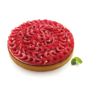 Cercle à Tarte perforé Silikomart ø210 H 20 MM
