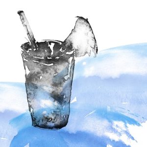 Bergarine, infusion glacée sachet 20g