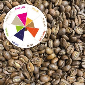 NOUVELLE GUINÉE PAPOUASIE “SIGRI A” (Pur Arabica) Sachet 250g