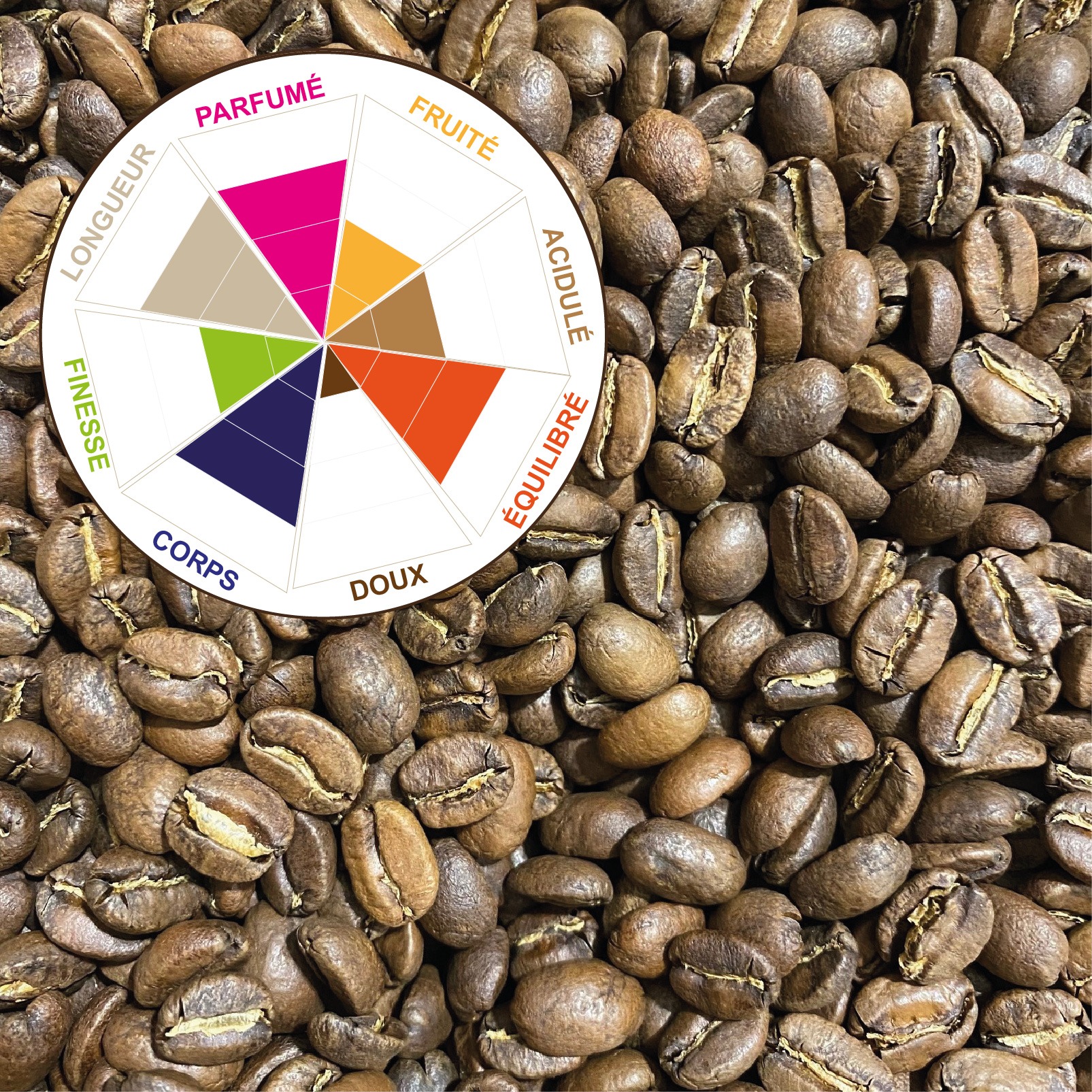 NOUVELLE GUINÉE PAPOUASIE “SIGRI A” (Pur Arabica) Sachet 250g
