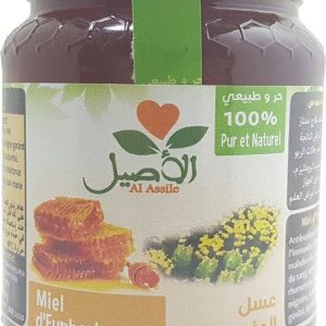 Miel d&rsquo;Euphorbe (daghmouss) 100% Pur et Naturel Al-Assil 500g