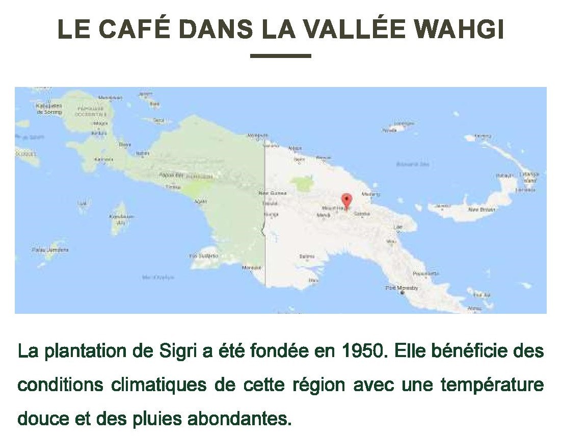 NOUVELLE GUINÉE PAPOUASIE “SIGRI A” (Pur Arabica) Sachet 250g – Image 2