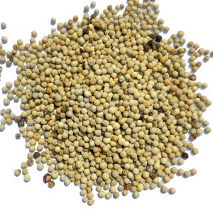Poivre blanc en grains