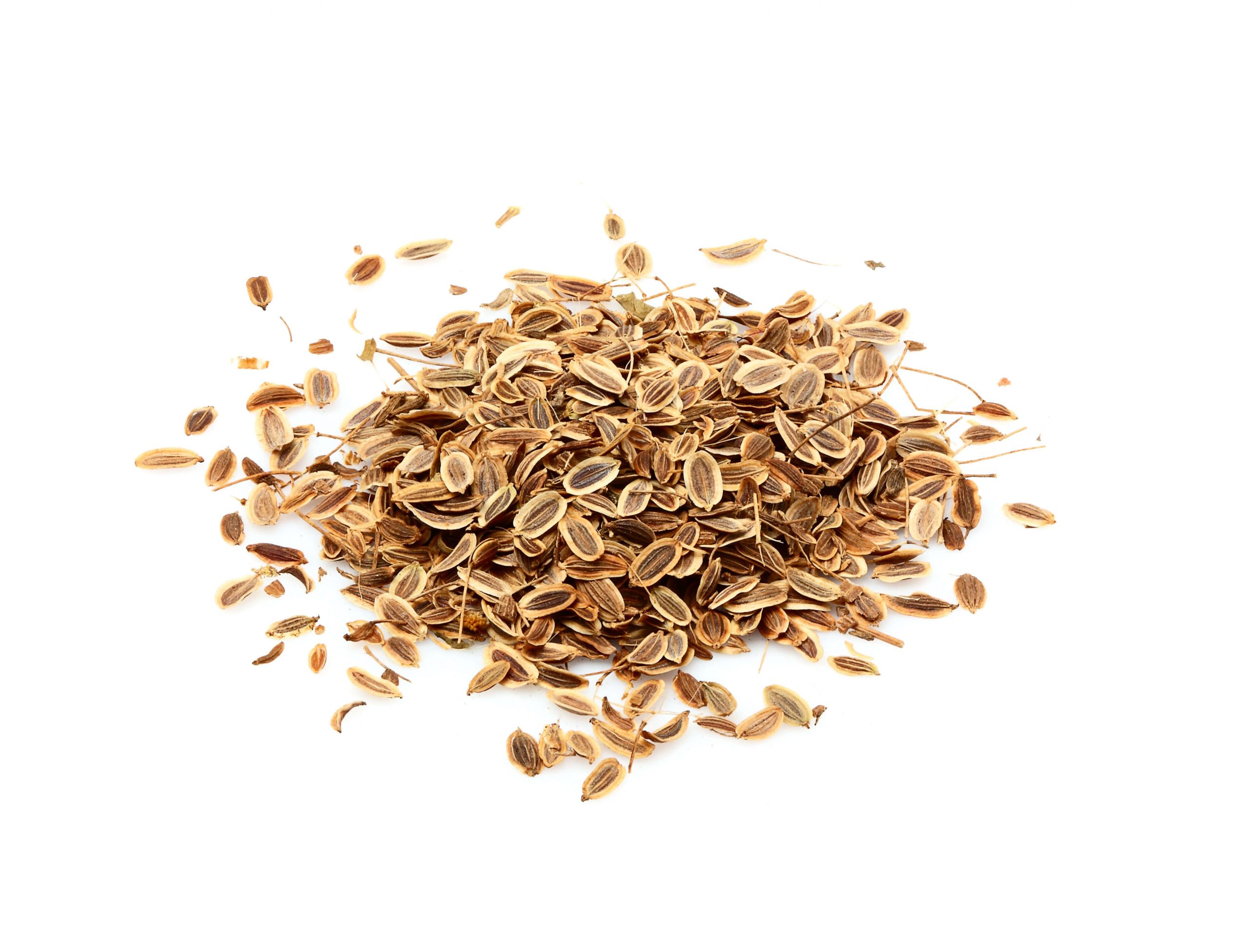 Aneth grains ou feuilles séchées
