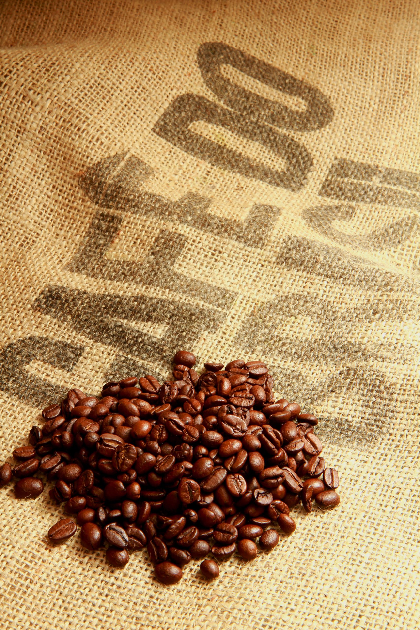 Café Brésil Bourbon Expresso Blend C25