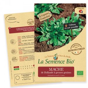 La Semence Bio La Mache de Hollande