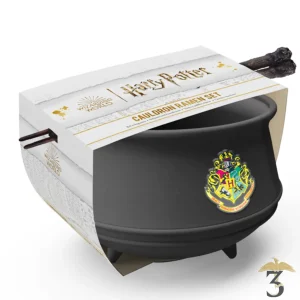 Set bol ramen chaudron