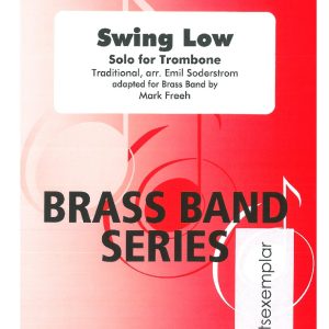 Swing Low