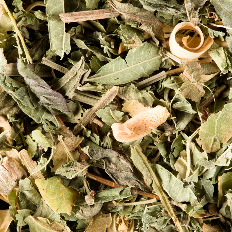 Tisane du Berger