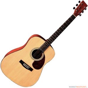 Guitare VGS Folk D1