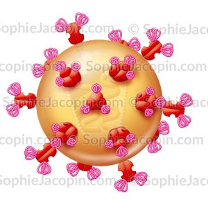 VIRUS DU SIDA